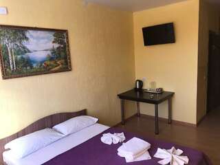 Гостиница Mini-Hotel Mir na Gagarina Ижевск-1
