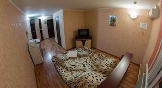 Гостиница Mini-Hotel Mir na Gagarina Ижевск Standart-1